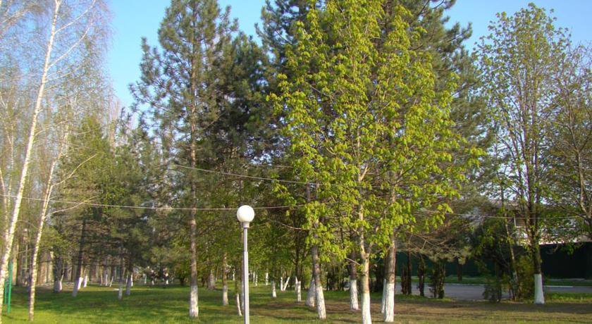 Гостевой дом Gostinitsa Volna Пятигорск